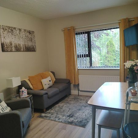 巴利香农Parkhill House Self Catering公寓 外观 照片